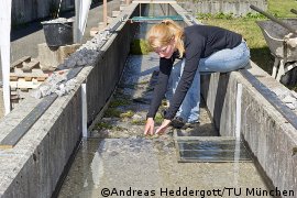 Fischkanal im Kleinwasserkraftwerk