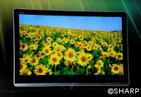 BUND: Energieeffizienz-Label für TV-Geräte schon veraltet