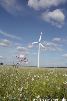 Schleswig-Holstein veröffentlicht Pläne zum Windenergie-Ausbau