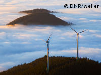 Windenergie im Wald soll ausgebaut werden