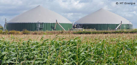 Biogasanlagen decken mehr als vier Prozent des Stromverbrauchs