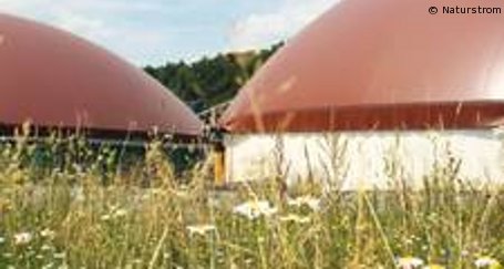 Positive Bilanz für Biogas aus Kleegras