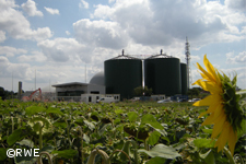 Biogasanlagen erzeugen drei Prozent des Stromverbrauchs