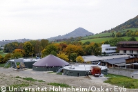 Biogas mit Erdgas-Qualität: Uni Hohenheim entwickelt neues Verfahren 