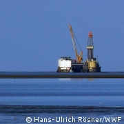Gas-Leck in der Nordsee: WWF befürchtet Todeszonen