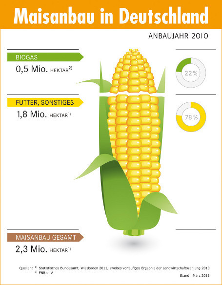 „Tank vs. Teller“: Maisanbau in Deutschland 2010