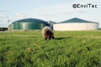 EnviTec Biogas baut erste Biogasanlage in den USA 